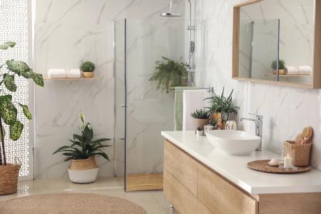Bathroom Remodeling
